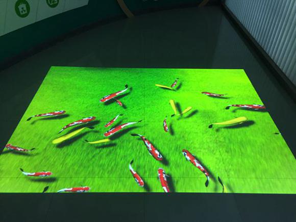 地面魚水互動(dòng)