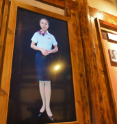 虛擬主持人的兩大類型